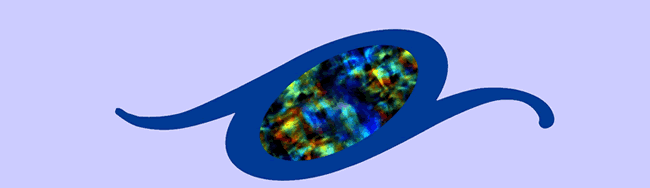Black Opal Systems Logo